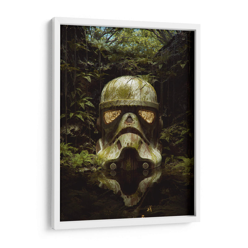 Stormtropper entre el musgo | Cuadro decorativo de Canvas Lab