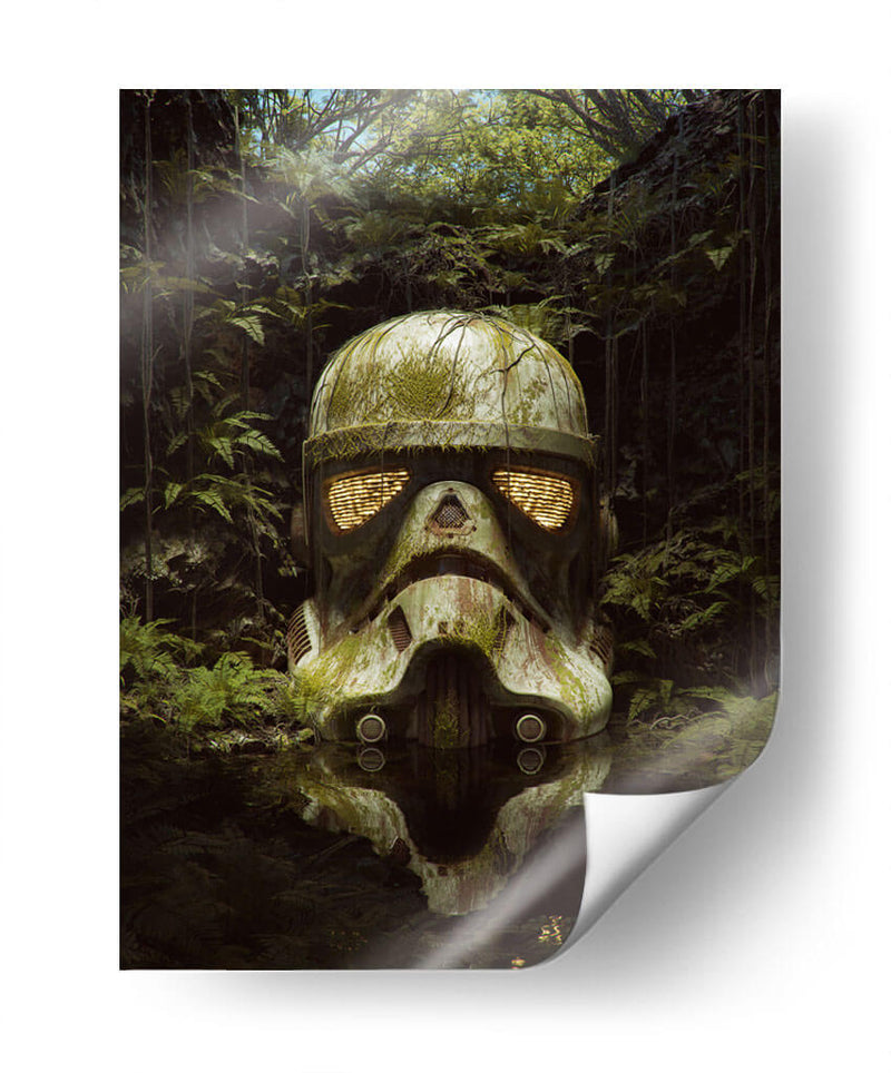 Stormtropper entre el musgo | Cuadro decorativo de Canvas Lab