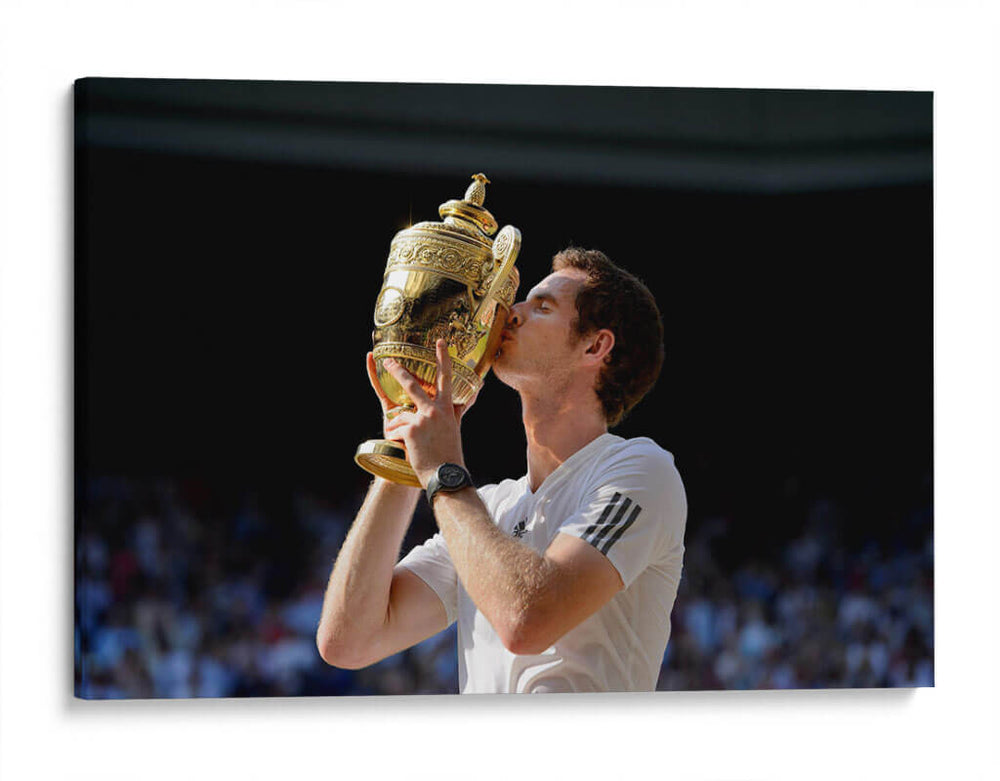 El triunfo de Andy Murray | Cuadro decorativo de Canvas Lab