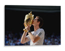 El triunfo de Andy Murray | Cuadro decorativo de Canvas Lab