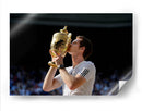 El triunfo de Andy Murray | Cuadro decorativo de Canvas Lab