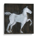 Alto Paso - W. Rutledge | Cuadro decorativo de Canvas Lab