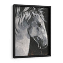Tribeca Cabalio I - Jennifer Paxton Parker | Cuadro decorativo de Canvas Lab