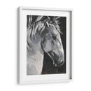 Tribeca Cabalio I - Jennifer Paxton Parker | Cuadro decorativo de Canvas Lab