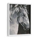 Tribeca Cabalio I - Jennifer Paxton Parker | Cuadro decorativo de Canvas Lab