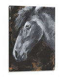 Tribeca Horse Ii - Jennifer Paxton Parker | Cuadro decorativo de Canvas Lab
