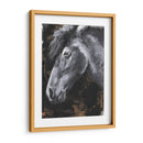 Tribeca Horse Ii - Jennifer Paxton Parker | Cuadro decorativo de Canvas Lab