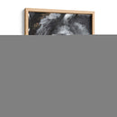 Tribeca Horse Ii - Jennifer Paxton Parker | Cuadro decorativo de Canvas Lab