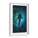 El nado del tiburón ballena | Cuadro decorativo de Canvas Lab