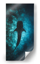 El nado del tiburón ballena | Cuadro decorativo de Canvas Lab