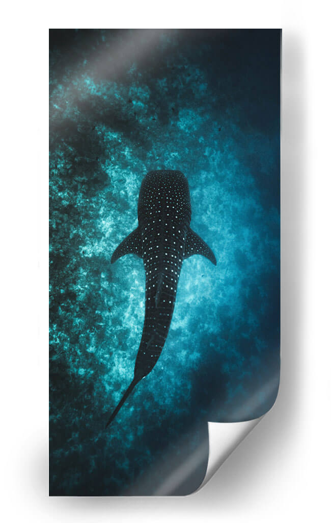 El nado del tiburón ballena | Cuadro decorativo de Canvas Lab