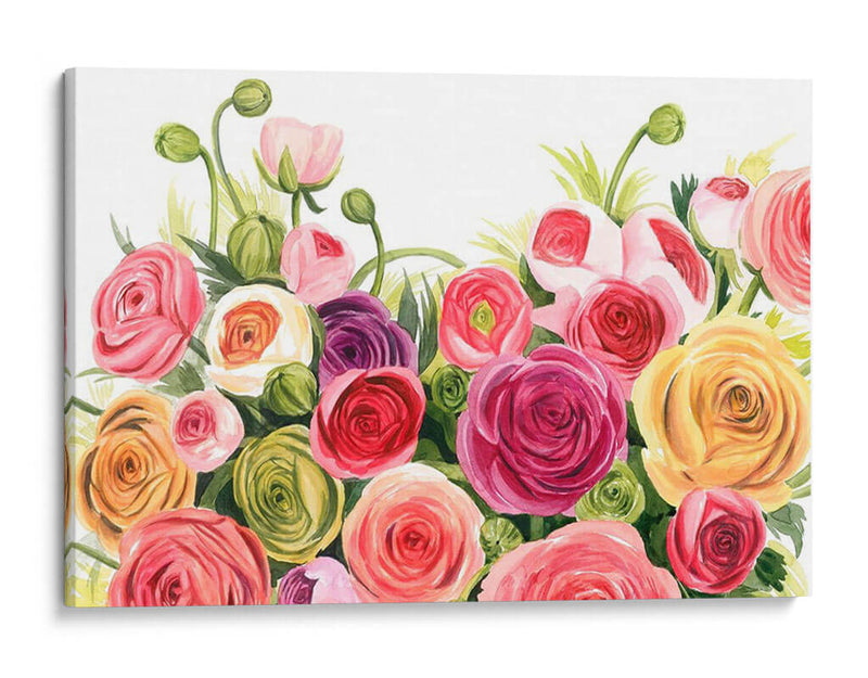 Ranunculus Panorama - Grace Popp | Cuadro decorativo de Canvas Lab