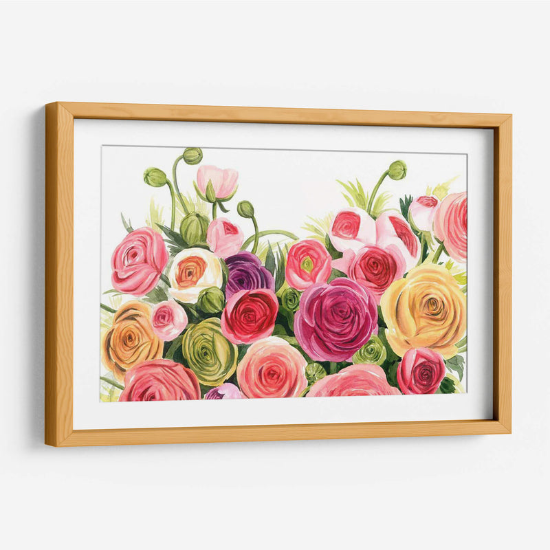 Ranunculus Panorama - Grace Popp | Cuadro decorativo de Canvas Lab