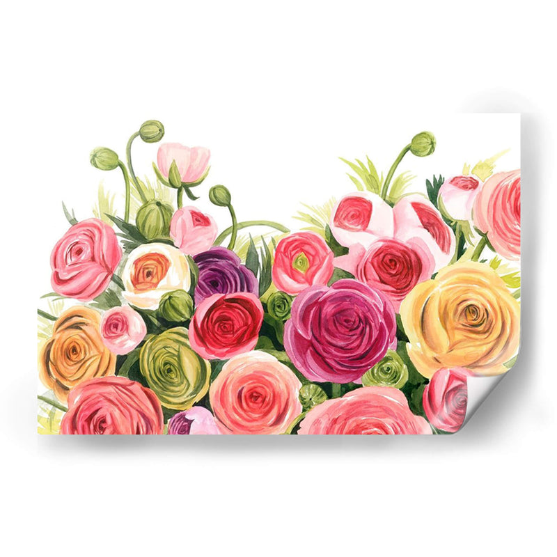 Ranunculus Panorama - Grace Popp | Cuadro decorativo de Canvas Lab