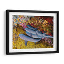 Familia de tiburones | Cuadro decorativo de Canvas Lab