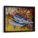 Familia de tiburones | Cuadro decorativo de Canvas Lab