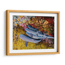 Familia de tiburones | Cuadro decorativo de Canvas Lab