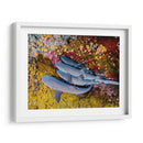 Familia de tiburones | Cuadro decorativo de Canvas Lab