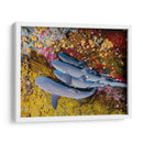 Familia de tiburones | Cuadro decorativo de Canvas Lab