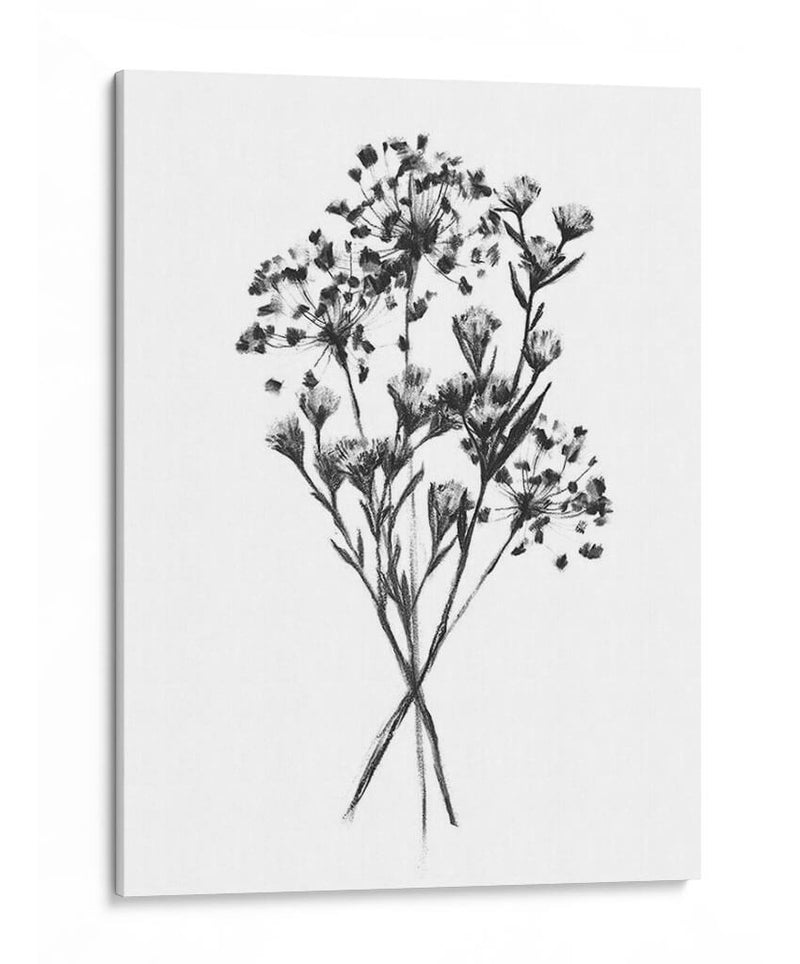 Bouquet Wild Roadside I - Emma Scarvey | Cuadro decorativo de Canvas Lab