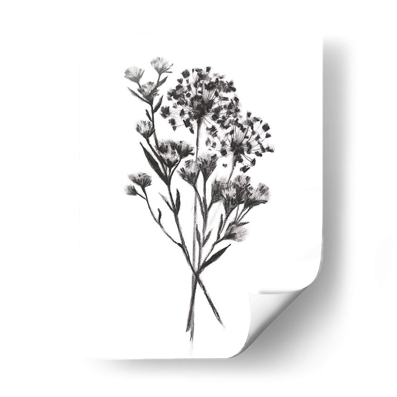 Bouquet Wild Roadside Ii - Emma Scarvey | Cuadro decorativo de Canvas Lab