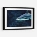 La mirada del acecho | Cuadro decorativo de Canvas Lab