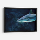 La mirada del acecho | Cuadro decorativo de Canvas Lab