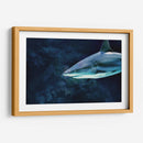 La mirada del acecho | Cuadro decorativo de Canvas Lab