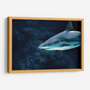 La mirada del acecho | Cuadro decorativo de Canvas Lab