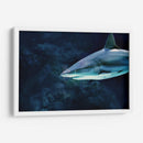 La mirada del acecho | Cuadro decorativo de Canvas Lab