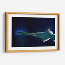 Pez sierra | Cuadro decorativo de Canvas Lab
