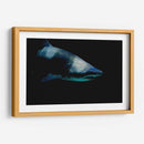 Tiburón al acecho | Cuadro decorativo de Canvas Lab