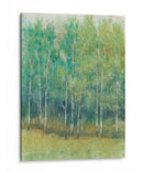 Borde Del Bosque I - Tim OToole | Cuadro decorativo de Canvas Lab