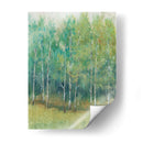 Borde Del Bosque I - Tim OToole | Cuadro decorativo de Canvas Lab