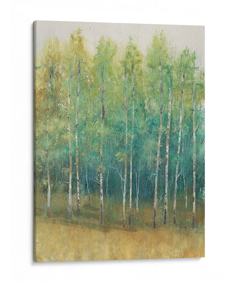 Woodland Edge Ii - Tim OToole | Cuadro decorativo de Canvas Lab