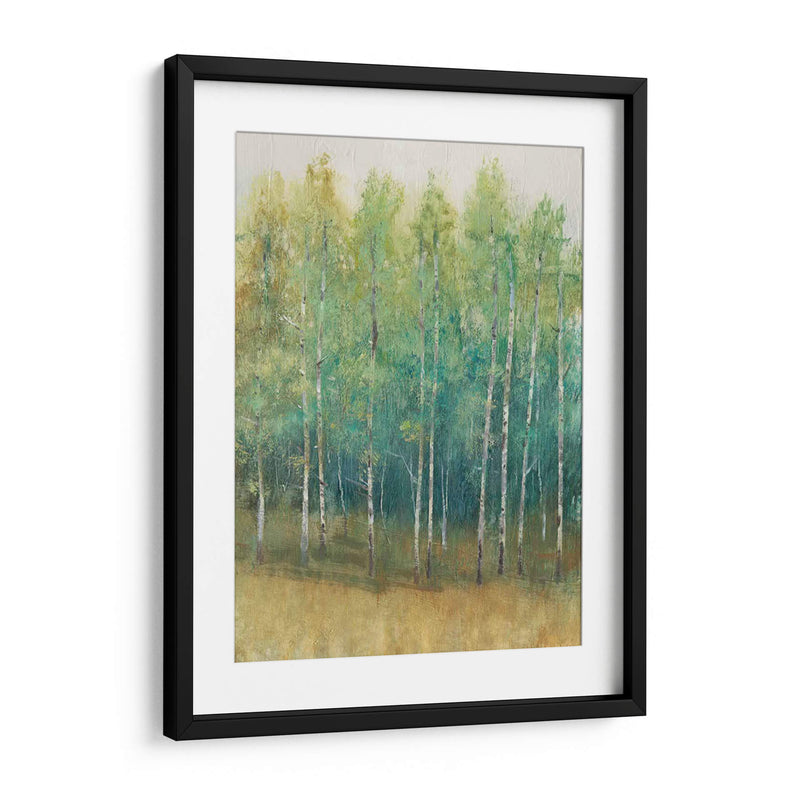 Woodland Edge Ii - Tim OToole | Cuadro decorativo de Canvas Lab