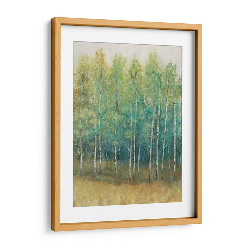 Woodland Edge Ii - Tim OToole | Cuadro decorativo de Canvas Lab