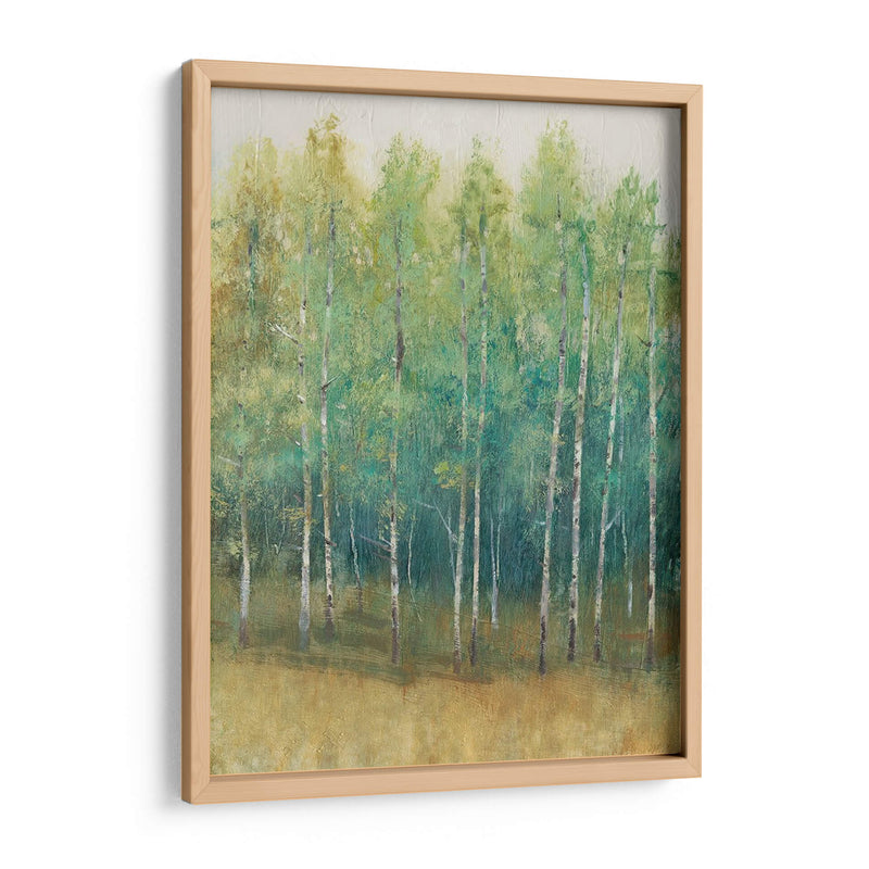 Woodland Edge Ii - Tim OToole | Cuadro decorativo de Canvas Lab