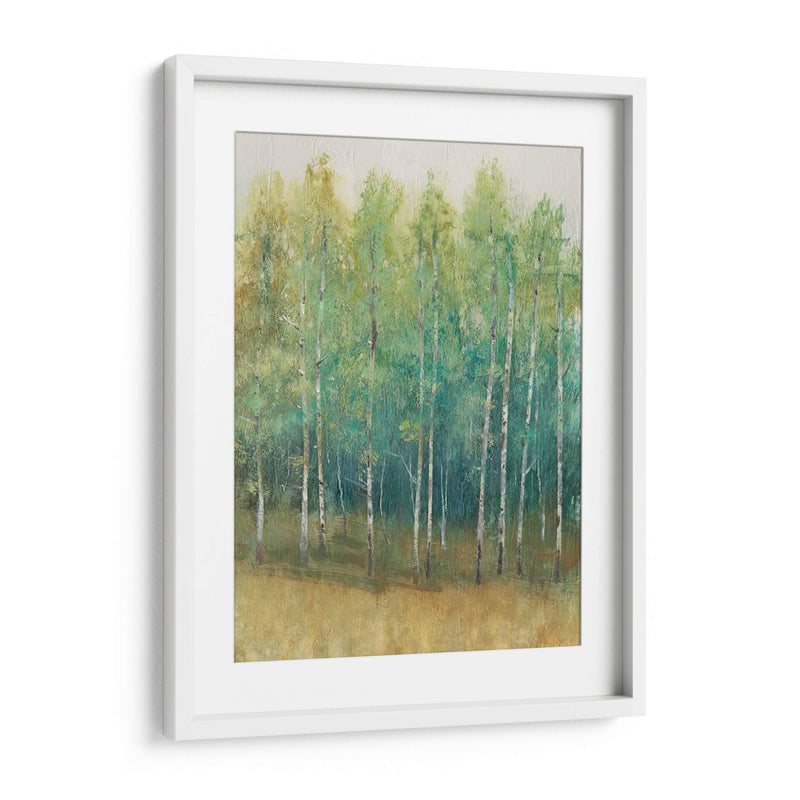 Woodland Edge Ii - Tim OToole | Cuadro decorativo de Canvas Lab