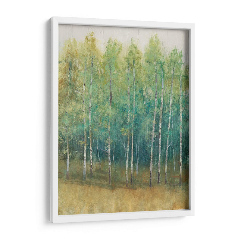 Woodland Edge Ii - Tim OToole | Cuadro decorativo de Canvas Lab