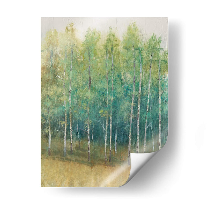 Woodland Edge Ii - Tim OToole | Cuadro decorativo de Canvas Lab