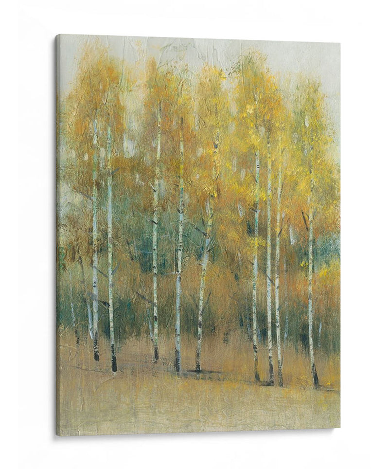 Woodland Edge Iii - Tim OToole | Cuadro decorativo de Canvas Lab