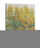 Woodland Edge Iii - Tim OToole | Cuadro decorativo de Canvas Lab