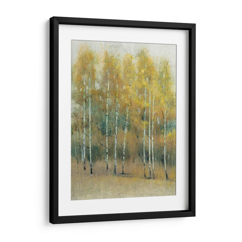 Woodland Edge Iii - Tim OToole | Cuadro decorativo de Canvas Lab