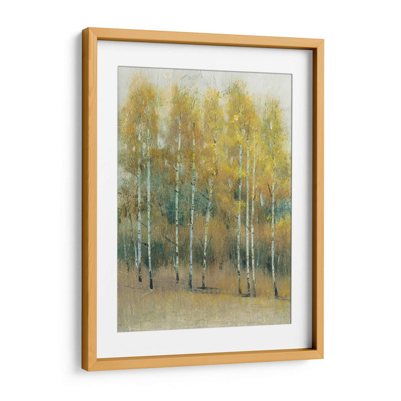 Woodland Edge Iii - Tim OToole | Cuadro decorativo de Canvas Lab