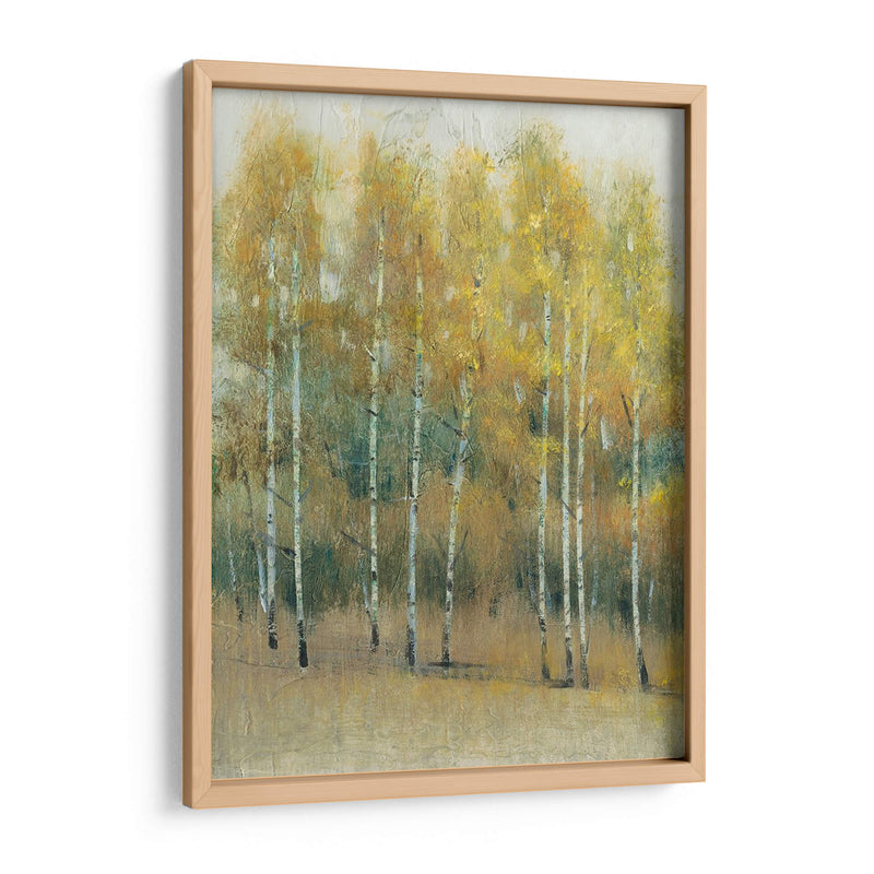 Woodland Edge Iii - Tim OToole | Cuadro decorativo de Canvas Lab