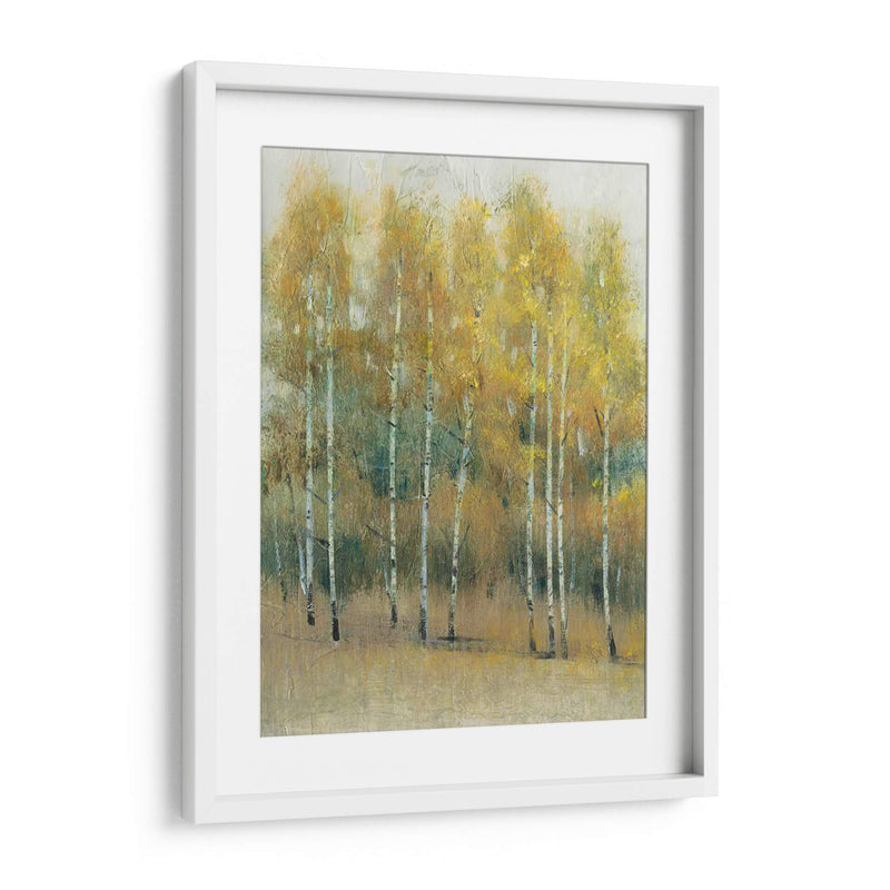 Woodland Edge Iii - Tim OToole | Cuadro decorativo de Canvas Lab