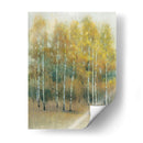 Woodland Edge Iii - Tim OToole | Cuadro decorativo de Canvas Lab