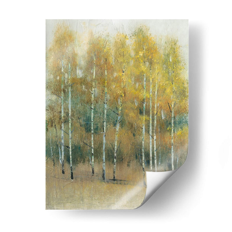 Woodland Edge Iii - Tim OToole | Cuadro decorativo de Canvas Lab