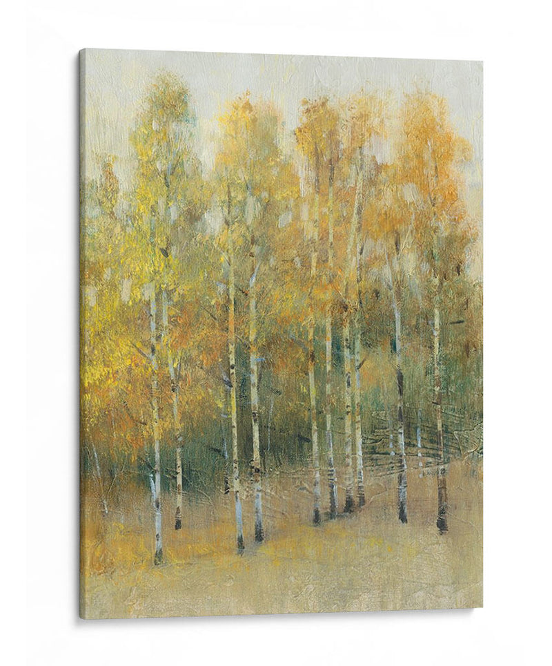 Woodland Edge Iv - Tim OToole | Cuadro decorativo de Canvas Lab